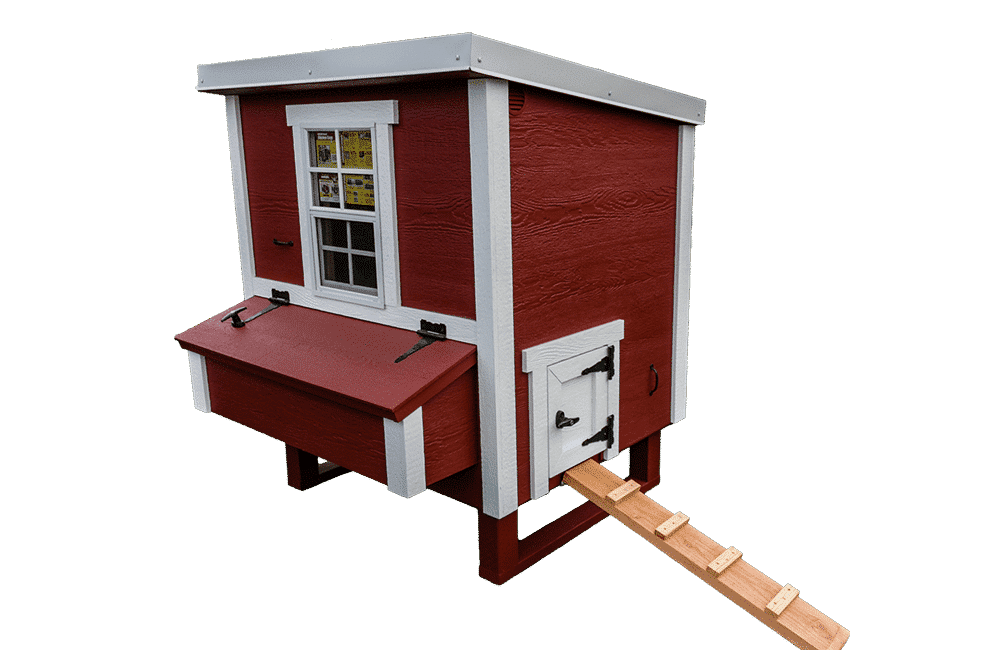 OverEZ Medium Chicken Coop – ENC Products